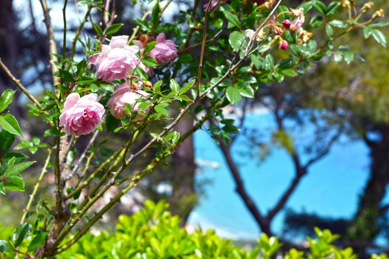 Torre Alpicella Holiday Home, A Scenic Escape Into Nature And Relaxation Diano Marina Exteriör bild